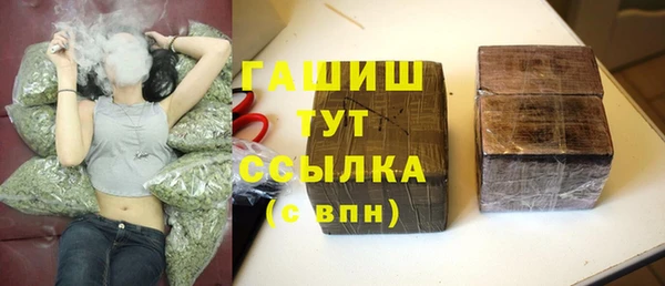 гидра Волоколамск