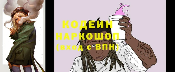 СК Волосово