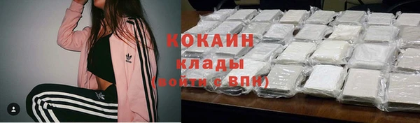 СК Волосово