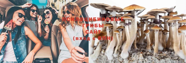 СК Волосово