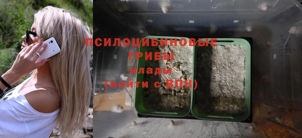 СК Волосово